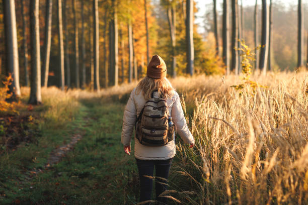 istock Woman with backpack hiking in autumn forest 1642490321