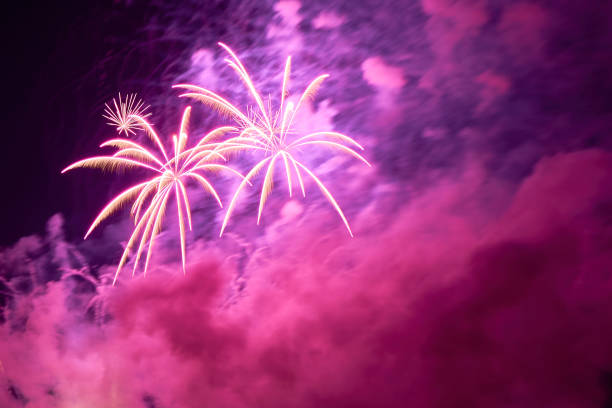 Particulate matter and carbon dioxide exposure from New Year's Eve fireworks. Climate change due to air pollution harms the environment.