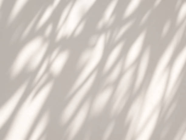 istock Abstract light and shadow of leaves bokeh blurred background. 1642509667