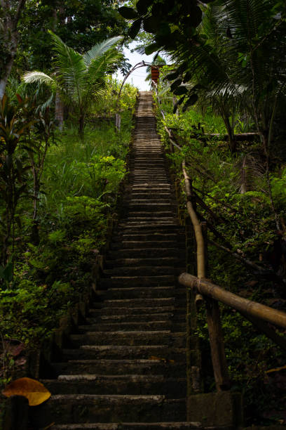 istock Construction stairs in the jungle mountain 1642528469