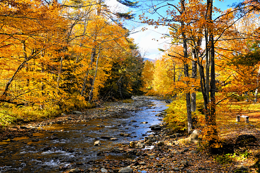 Beautiful autumn colors along a river near Stowe, Vermont, USA