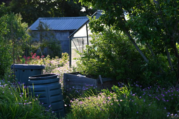 istock Allotment garden 1642559378
