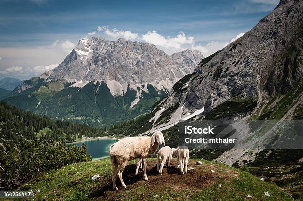 Lago Seebensee Y Zugspitze Foto de stock y más banco de imágenes de Abeto - Abeto, Aire libre, Alemania