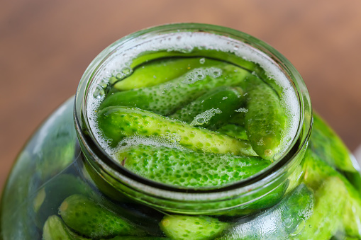 Naturally fermented quick pickled cucumbers in jar during souring, view through the jar neck close-up in selective focus