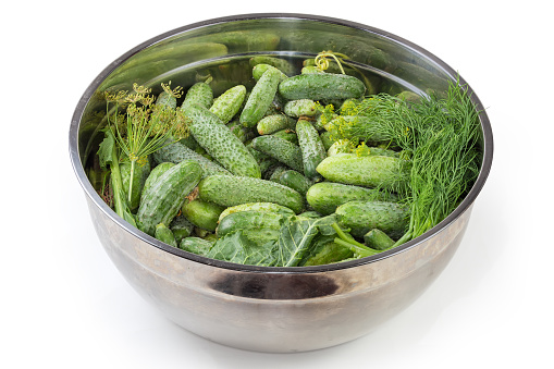 Freshly harvested green cucumbers different sizes and some greens in the big kitchen stainless steel bowl on a white background