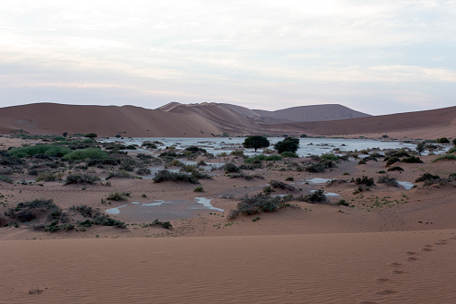 Dry landscape of rocks and sand in Moon valley or Valle de la Luna in Atacama desert, Chile