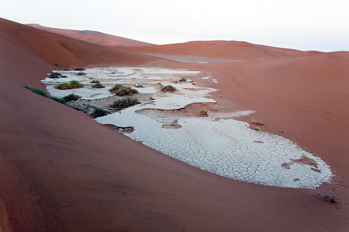 View of deadvlei desert in Namibia