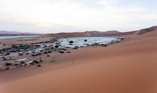 View of deadvlei desert in Namibia