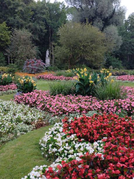 istock Flowerbed in the Tiergarten in Berlin 1642640857