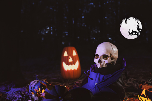 Halloween Jack-o-Lantern Pumpkins  and sugar skull skeleton heads on rustic wooden background