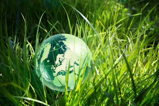 Environment concept, glass globe in the grass - green