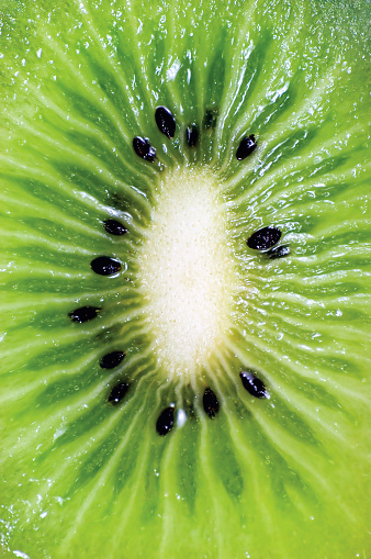 Sliced kiwi as textured background stock photo