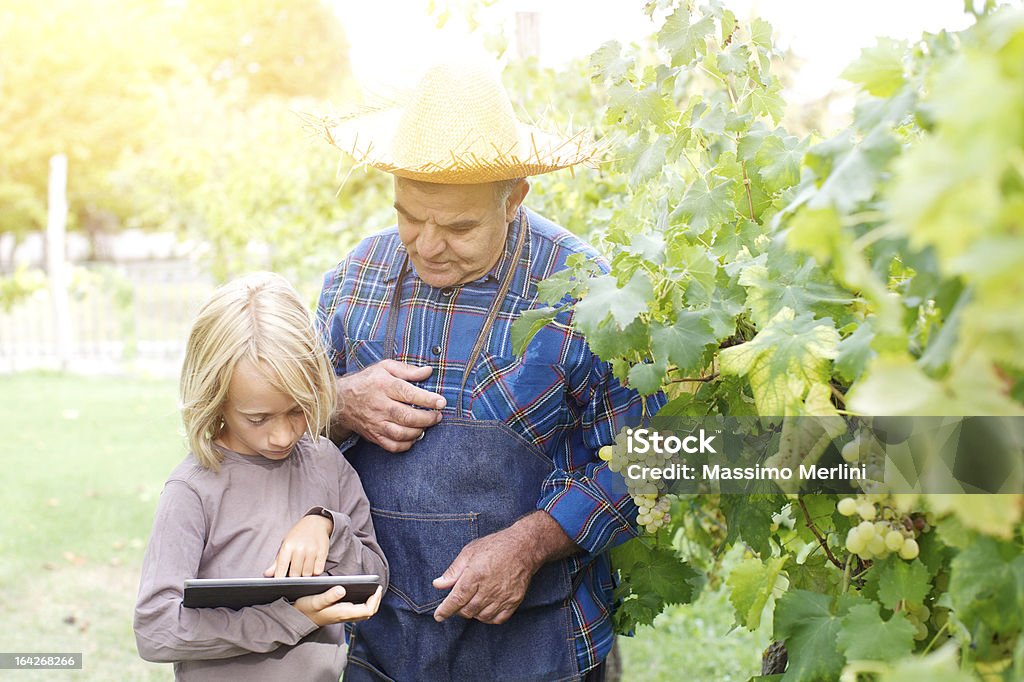 Grand-père et petits-enfants avec une tablette dans le vignoble - Photo de Famille libre de droits