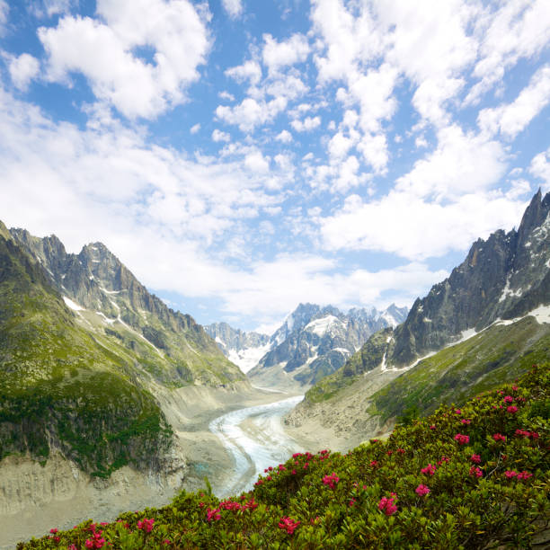 istock Sea of Ice 164268495
