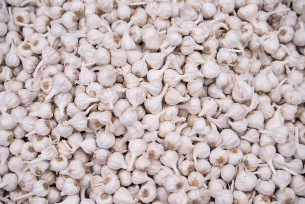 istock Garlic is being sold in the market. 1642692162
