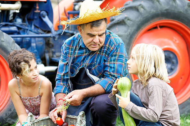 grand-père avec leurs petits-enfants dans le jardin potager - casual granddaughter farmer expressing positivity photos et images de collection