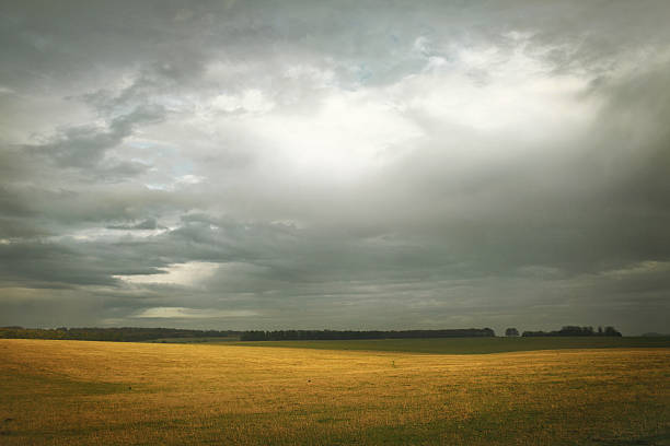 Dopo the rain - foto stock