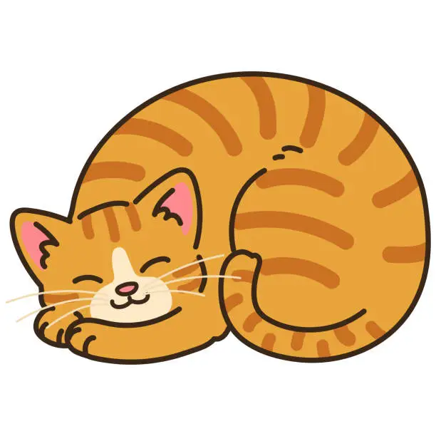 Vector illustration of Simple and adorable illustration of orange tabby cat sleeping