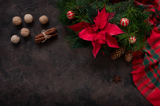 Christmas background with fir tree branches, poinsettia flower and Christmas tablecloth