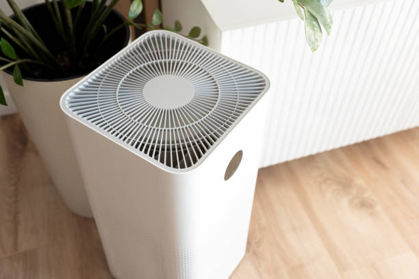 istock Air purifier in home. Smart home devices 1642793026