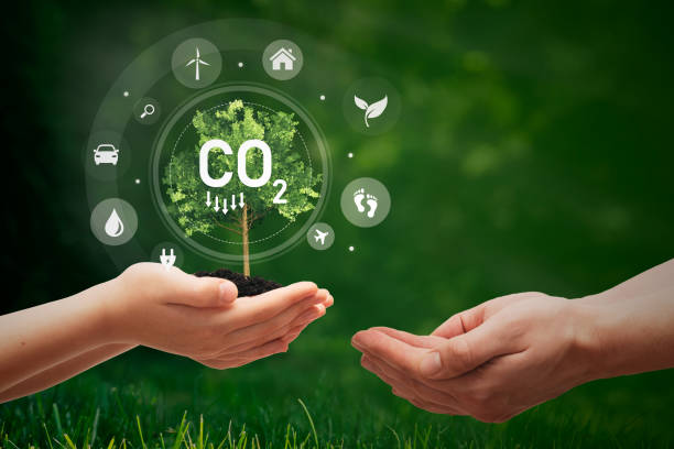 istock Carbon dioxide emission concept with tree in hands 1642794598