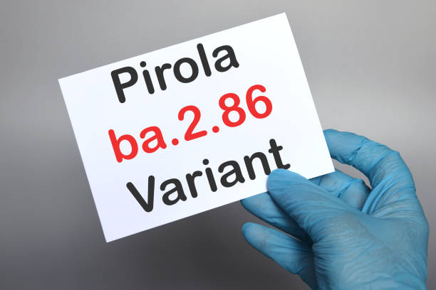 The hands of doctor in blue gloves with white paper and text "ba.2.86 Pirola Variant". Concept for the new variant of SARS-CoV-2 ba.2.86 Pirola Covid-19 New Variants. stock photo