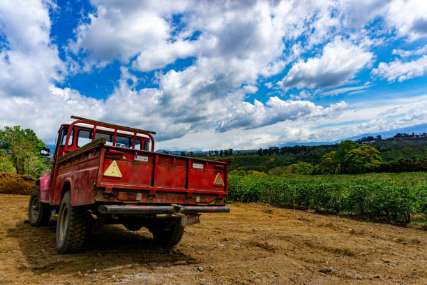 istock Truck Costa Rica 1642837901