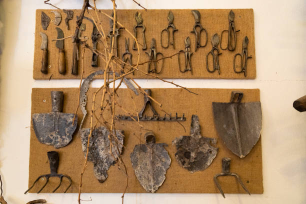 istock old agricultural utensils, Mor, Hungary 1642849040