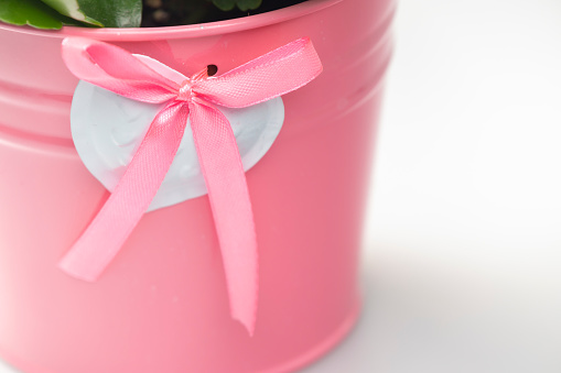 detail of flower pot with white heart and pink ribbon