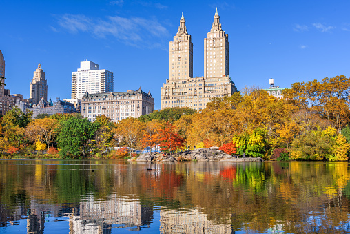 Central Park during autumn in New York City.