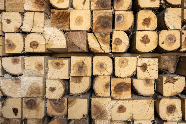 A stack of cut logs viewed from the front, showcasing natural textures and circular patterns in a forest setting.