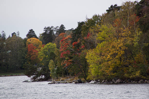 istock Trees by sea against clear sky during autumn 1642894032