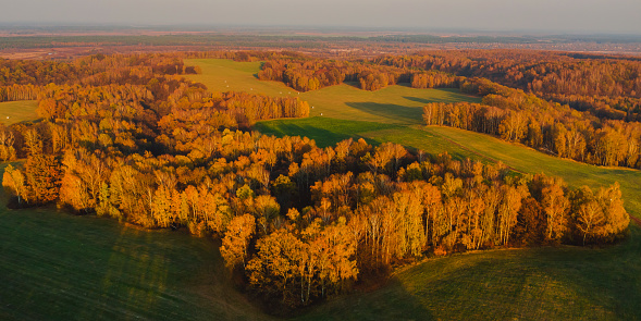 Autumn forest drone photography