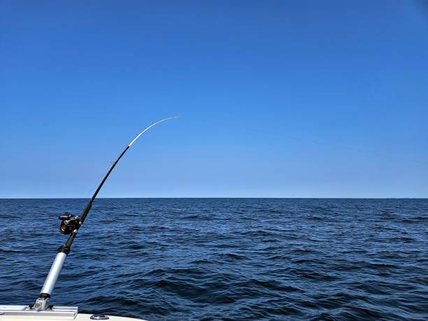istock Fishing Rod In Holder On Boat 1642942071