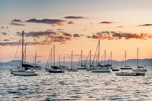 View of sailboats and yachts in bay during sunset in Florianopolis Brazil