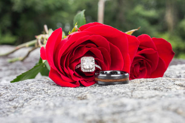wedding ring and roses photography - ringside imagens e fotografias de stock
