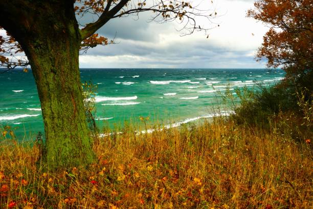 Tranquil beachscape on Lake Michigan with untouched sands and serene ocean, embodying the beauty of an unspoiled coastal landscape.