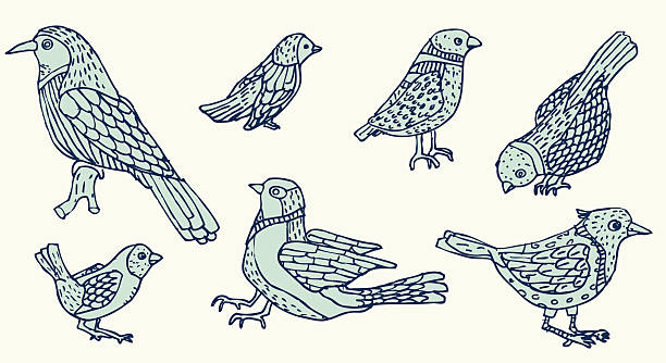Hand-drawn birds vector art illustration