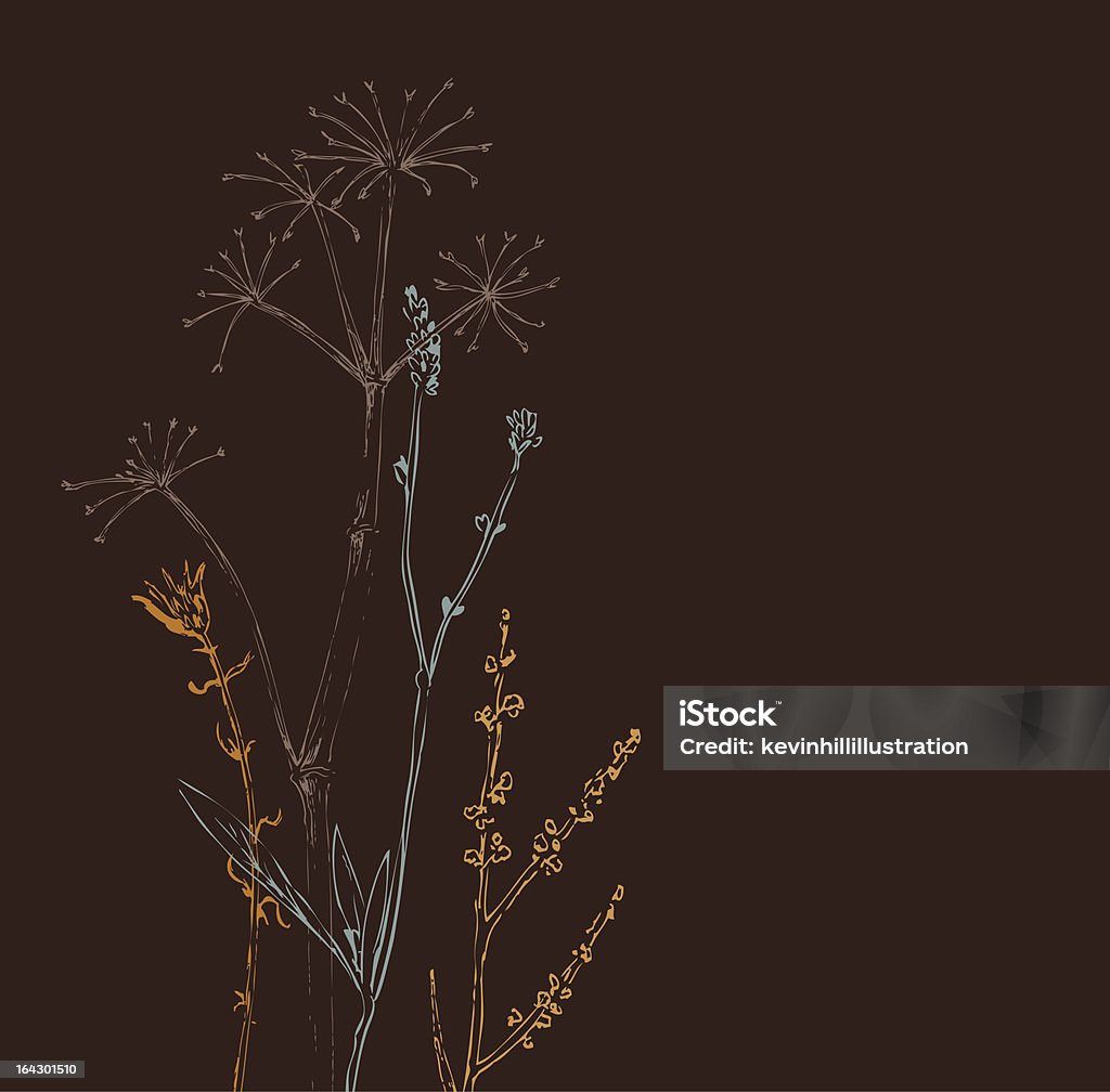 Brown weeds_herbal - Royalty-free Amarelo arte vetorial