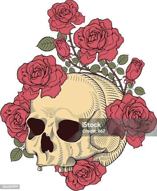 Череп С Розами — стоковая векторная графика и другие изображения на тему Роза - Роза, Татуировка, Готический стиль