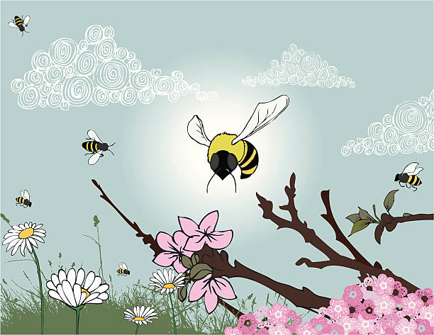 Abeilles au printemps - Illustration vectorielle