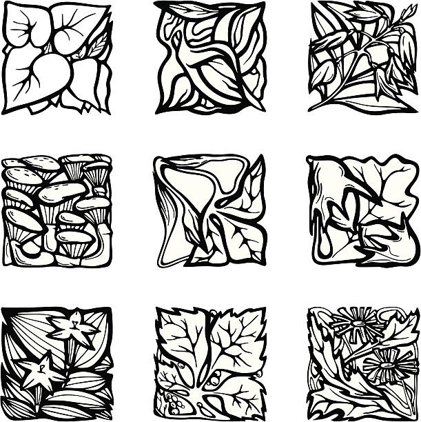 Floral Rectangle Design Elements vector art illustration