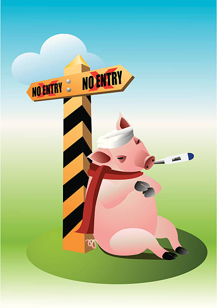 Border closed for swin flu vector art illustration