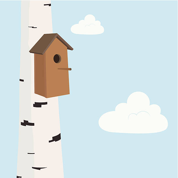 скворечник - birdhouse stock illustrations