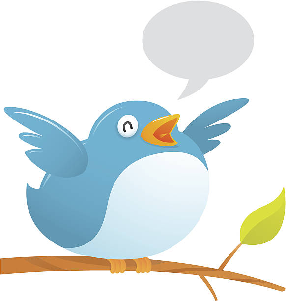 fat twitter bird - twitter 幅插畫檔、美工圖案、卡通及圖標