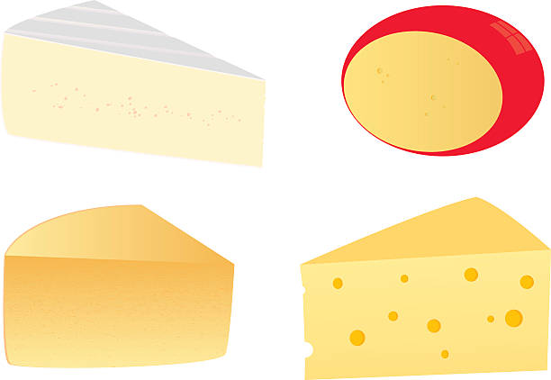 네 가지 치즈 - cheese swiss cheese portion vector stock illustrations