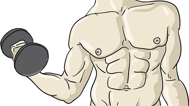 muscled 남자 - weights human arm male beauty sport stock illustrations