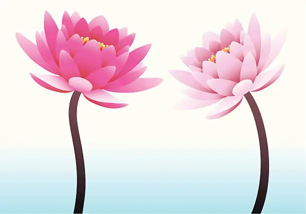 Vector illustration of Lotus couple