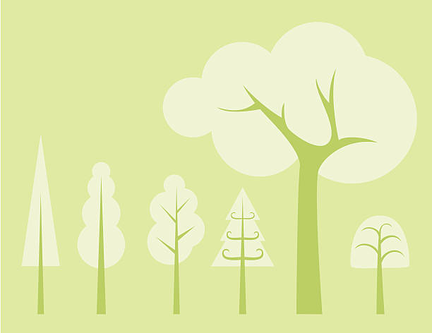 Forest for the Trees vector art illustration