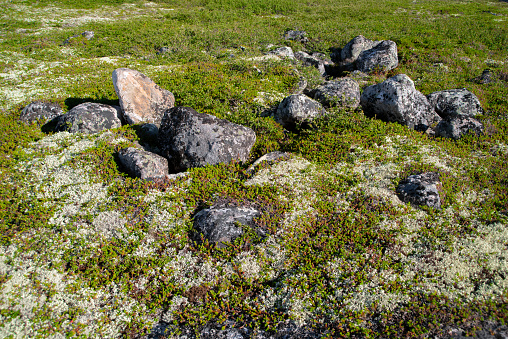 Stones and green grass, moss, lichen